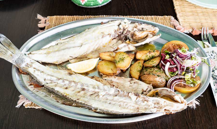 Sea bass from the bay of Cadiz