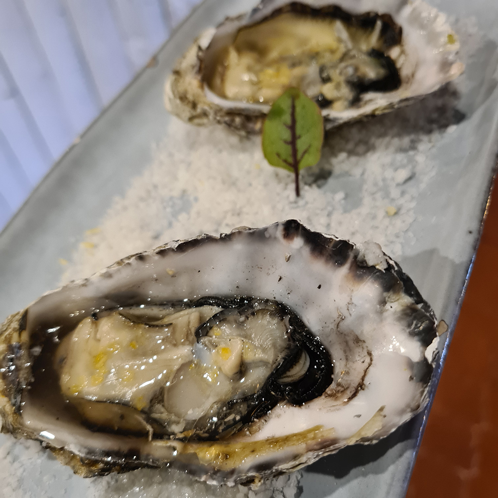 Grilled “fine” oyster