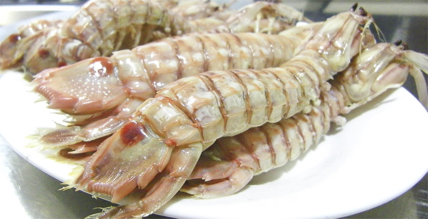 Mantis shrimp (Only in season)